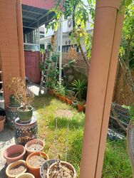 East Coast Park (D15), Semi-Detached #606040131